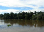 River Amazon